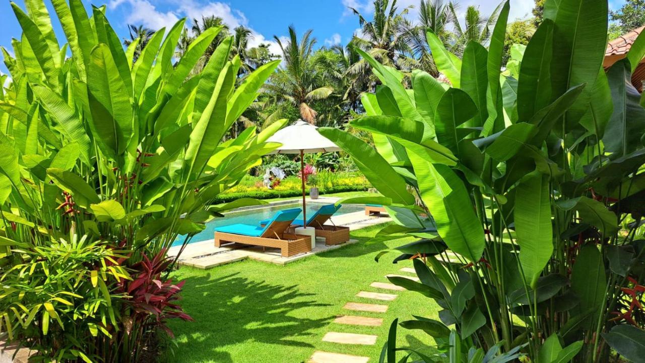 أوبود Taman Eden Cottage المظهر الخارجي الصورة